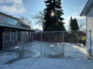 Galvanized chain link residential fence in Winnipeg enclosing a concrete backyard with large evergreen tree and bright sky