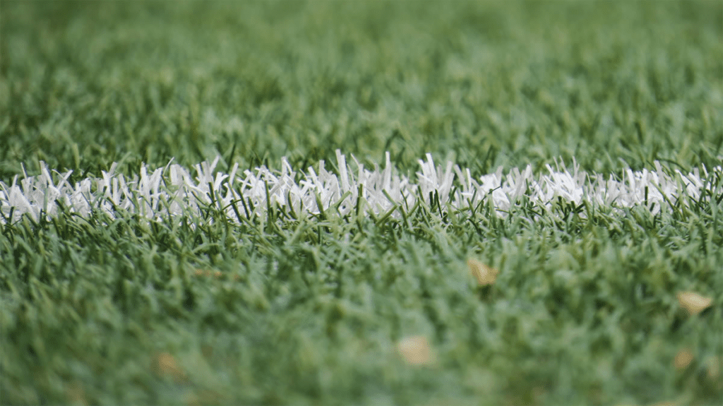 white line on field representing a fence line.