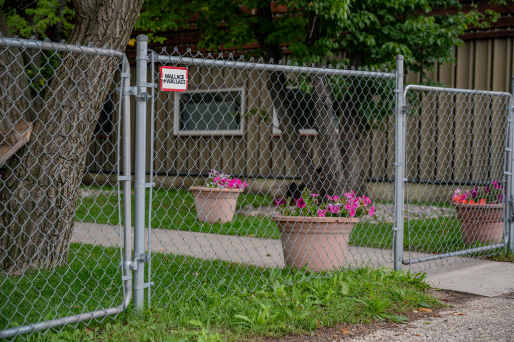 Residential chain link fence with a swing gate, surrounding a yard with potted pink flowers.